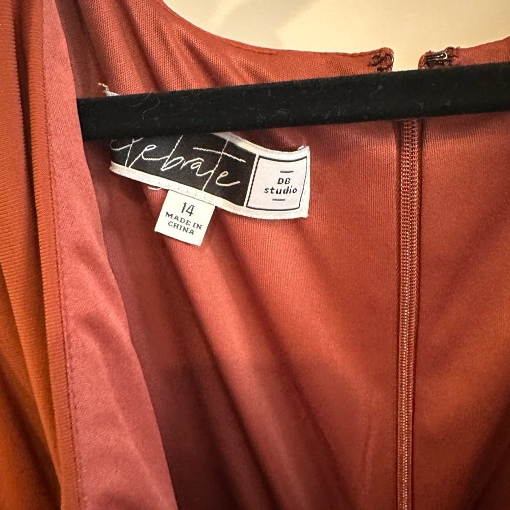 Elegant Burnt Sienna Long Sleeve Ruched Formal Gown- Size 14 - Picture 4 of 6